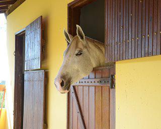 Sítio para venda ou locação com 6 quartos, 36300m² - Piquirá,Porto Feliz