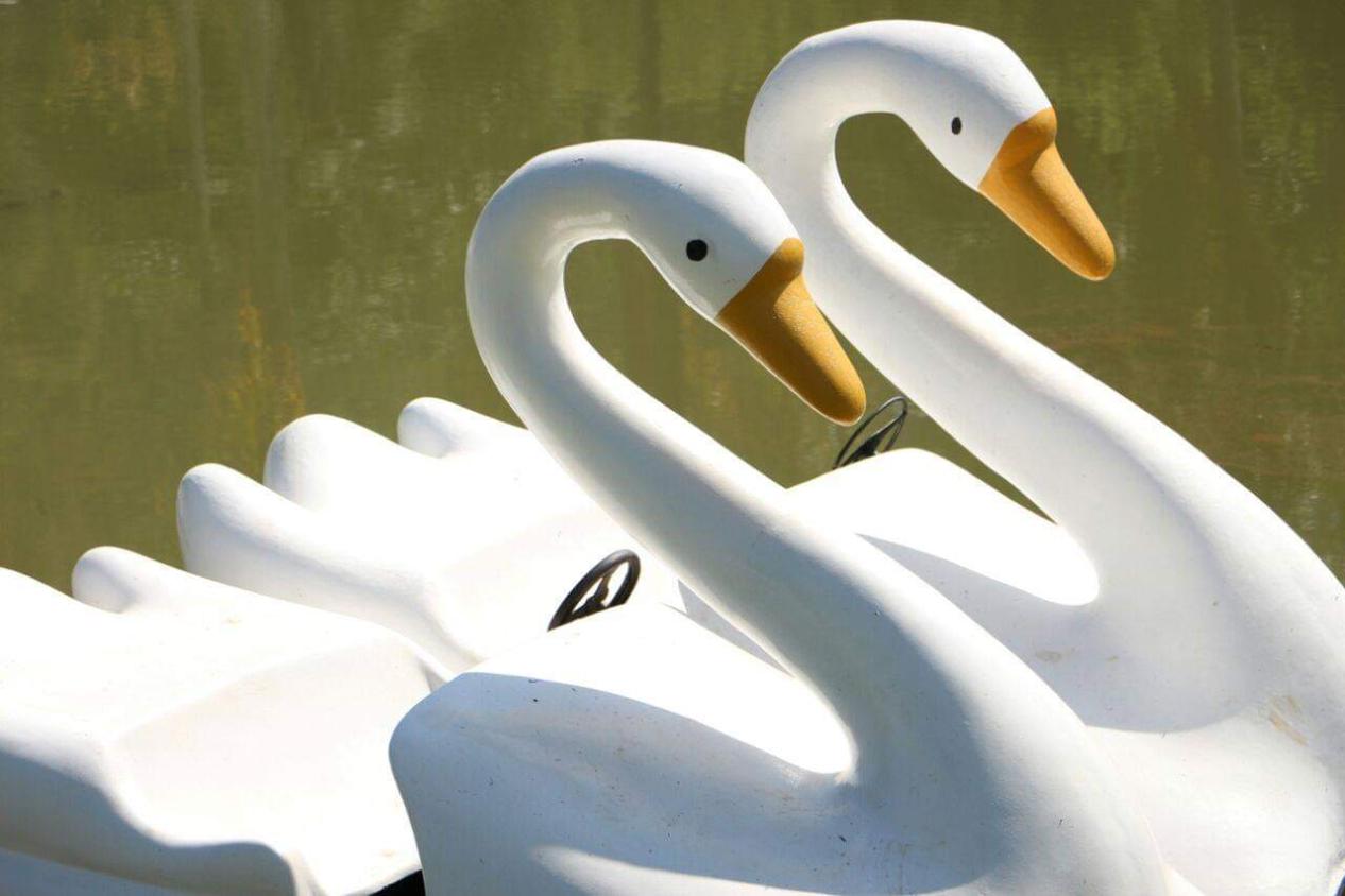 Sítio à venda com 20 quartos, 15062m² - Jardim Brasil,Atibaia