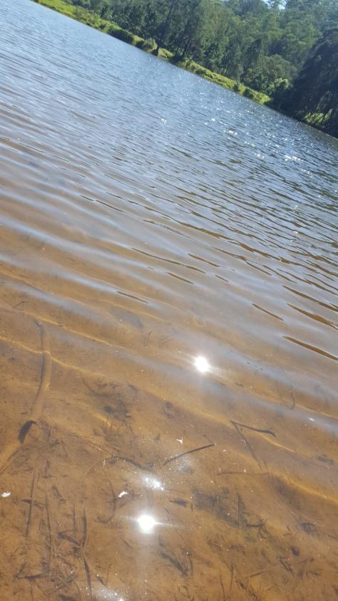 Fazenda à venda com 3 quartos, 500m² - Maracanã,Jarinu