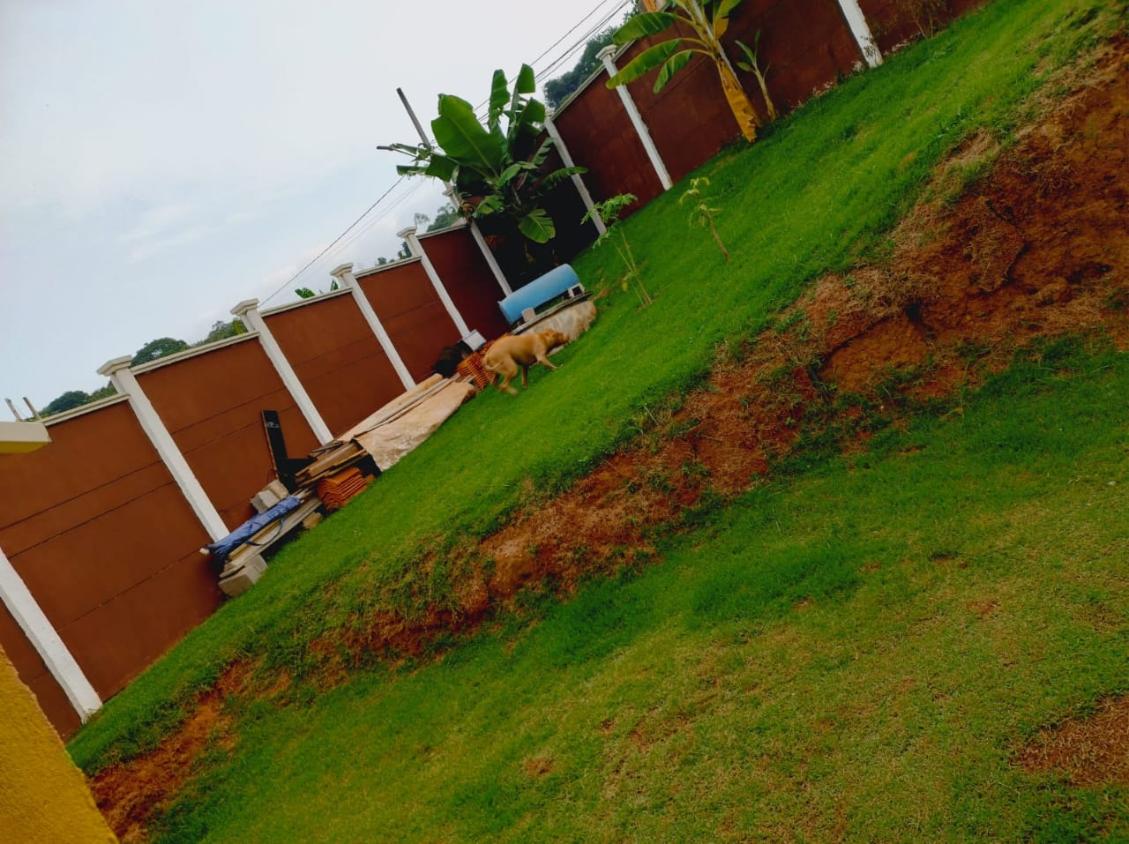 Chacara Jarinu  - www.melhoresimoveisonline.com.br