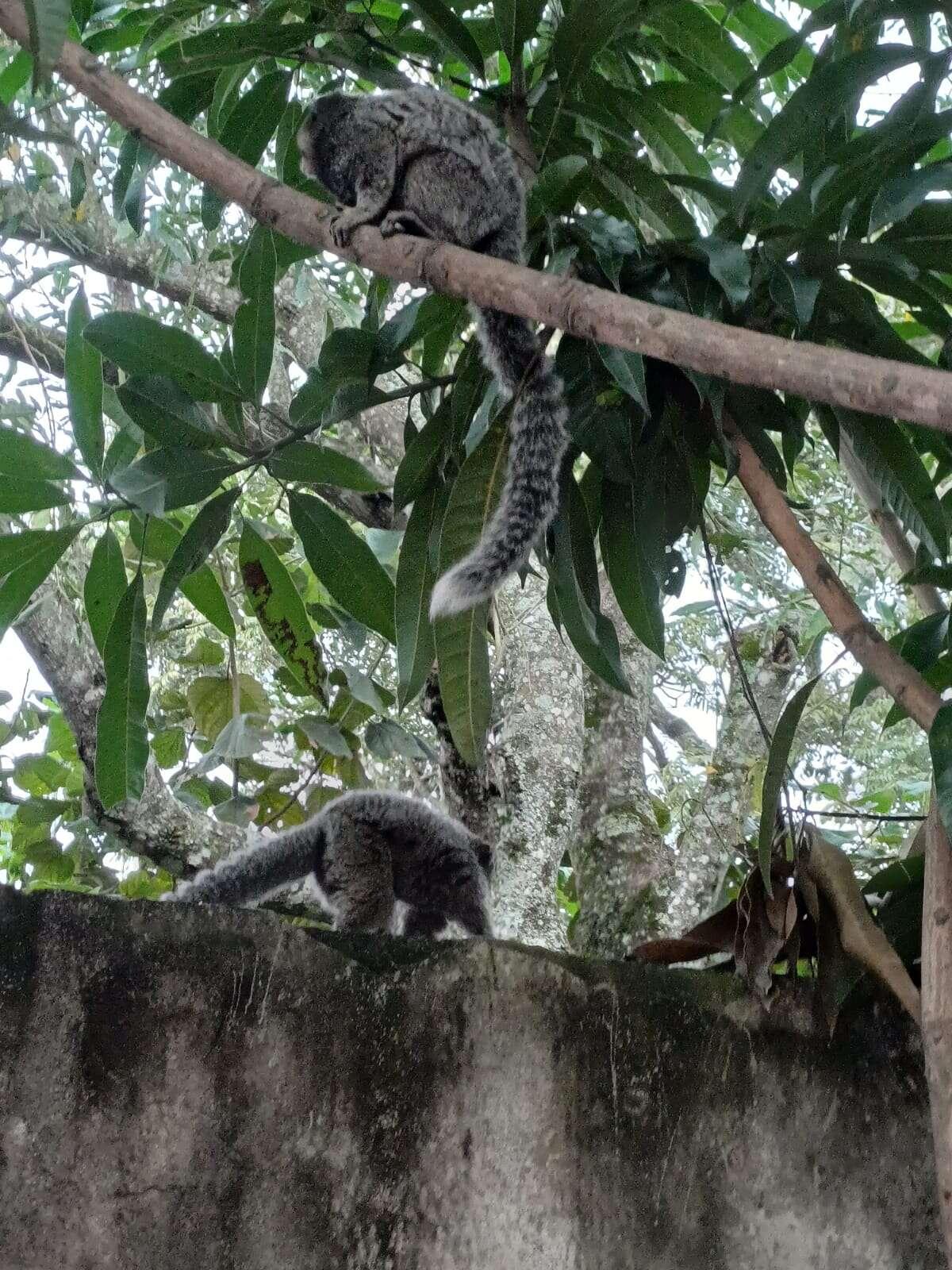 Casa de condomínio à venda - ,
